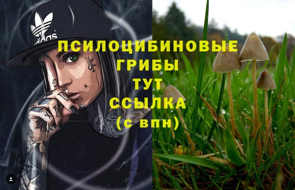 a pvp Заволжск