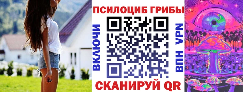 Купить закладки  Белая Холуница  Галлюциногенные грибы GOLDEN TEACHER 